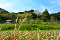 地元民しか読めないと思う「埼玉県の市町村名」ランキングTOP27！　第1位は「毛呂山町」【2026年最新調査結果】