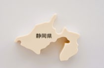 【画像：ランキング19位～1位を見る】
