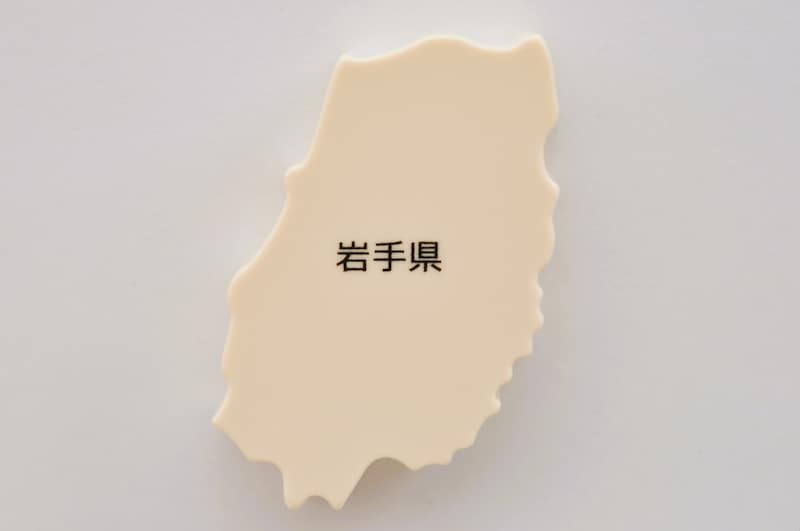 【男性に聞いた】「イケてると思う岩手県の街」ランキング！　2位は「花巻市」、1位は？