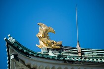 「絶対喜ばれるお土産」　名古屋の“423円銘菓”→あまりのかわいさに……「みんな思わず笑顔」「かわいくて参っちゃう」「美味しいにゃん」