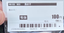 “シルバニア好き”がセカストで見つけたのは……「ギャァアアア100えん??!」　180万表示の“とんでもない掘り出し物”に「最高のラッキー」「羨ましい」