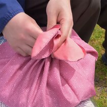 妻が真心込めて作った“お花見弁当”→夫が開けたら……　まさかの中身に「何だこれ？」「初めて知りました」