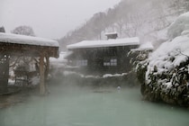 「美男美女の多さが自慢の都道府県」ランキングTOP12！　第1位は「秋田県」【2025年最新調査結果／ソニー生命調べ】