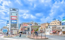 【画像：ランキング30位～1位を見る】