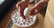 ヤフオクで購入した“ガチョウの卵”→毎日見守り続けて1カ月後……　ついに迎えた瞬間に「初めて見ました」