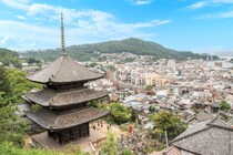 【画像：ランキング17位～1位を見る】