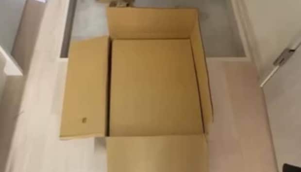春から一人暮らしの孫→祖母から突然荷物が届き……　驚きの中身に「気持ちこもってますね」の声