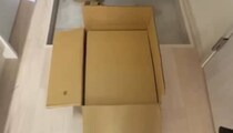 【画像】記事を読む