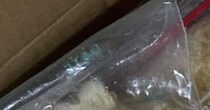 連休初日、母から届いた段ボール箱→娘が開けてみると……　圧巻の中身に 「めっちゃ豪華だわ！！」「参加させて下さい」
