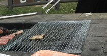 友達とバーベキュー→食材を持ち寄ったら……「こんなことってあり？！w」　とんでもない光景に「笑いが止まりません」