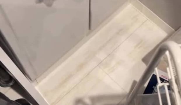 調理予定のヤシガニがいない！→探したら……　絶叫級の光景が507万再生「めちゃくちゃビビる」「思ってた10倍デカかった」
