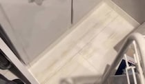 調理予定のヤシガニがいない！→探したら……　絶叫級の光景が507万再生「めちゃくちゃビビる」「思ってた10倍デカかった」