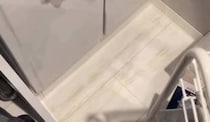 【画像】絶叫級の発見姿