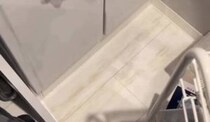 【画像】記事を読む