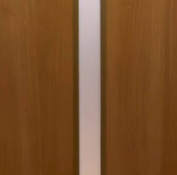 帰宅した妻が部屋のドアを開けると……　夫が作った“夢のような空間”に称賛「最高ーーー」「プロですやん」
