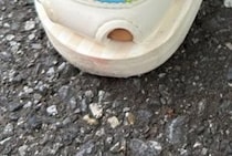【画像】購入した靴を見る