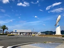 「楽しくて二日連続で行った」　もう一度利用したい“道の駅”上位に「景色も食事も◎」「魚がとても新鮮で安い」「ロケーションが最高」の声