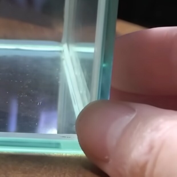 「出張から帰ると知らない生き物がいました」→目を疑う光景に「震えてます」「デカくなるかもな」