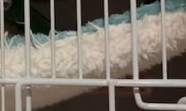 【画像】記事を読む