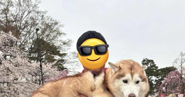すれ違う人に「こんなでっかいのにねぇ」と言われたワンちゃん→足もとを見たら…… “まさかの光景”が42万表示 「危ないもんね」「こりゃたまらん」