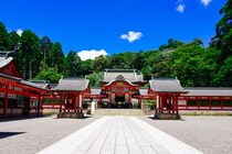 「芋好きの人に送ってあげたい」女性が選ぶ“鹿児島のお土産”1位の銘菓に絶賛の声！　「しっとり濃厚」「超あまーい！」