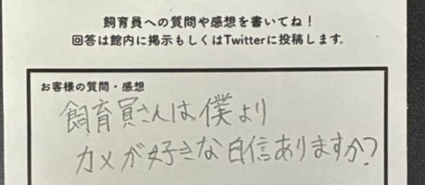 客「僕よりカメが好き？」→飼育員の“100点の回答”に「泣いちゃう」「久々に本物の愛を見たわ」
