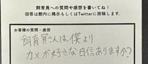 【画像】質問用紙を見る