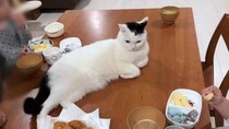 【画像】記事を読む