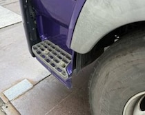 【画像】親鳥を見る