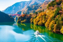 「もう1個買っておけば良かった」“富山県の銘菓”に「大好物な方も多いのでは」「うまい！って思わず口に出る」「素朴でおいしい味」の声