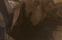 保育園帰りの子どもの服→パパが洗濯すると……「もう全裸で遊んでくれ」　衝撃の光景が120万表示「最高の保育園」「いくらでも洗います」
