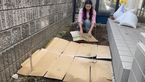 実家の庭に“ダンボール”をびっしり敷く女性→その後、完成したのは……　目からウロコな光景に「良い方法」「感心します！」