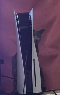 「これは死活問題」　発売日に「PS5 Pro」購入 → 愛猫の“思わぬ変化”に爆笑の声続々！　露骨すぎる表情に「そういう使い方ww」