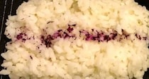 パリで「2800円の駅弁」を購入→開けると……「これは凄い！！」　衝撃の中身に「想像以上です」「大行列でした」
