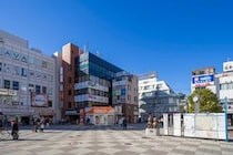 【画像：ランキング20位～1位を見る】