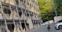 名古屋大学を歩いていると、突然……「マジか！」「ほんとにいるんだ」　とんでもない光景が750万表示