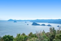 「いつも大分のお土産はこれ」大分県民が愛してやまない“ビロード箱の銘菓”に大絶賛　「崇高な箱が出てきて捨てるのに忍びない」「大分では知らない人は多分いない」