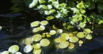 【画像】現在の姿