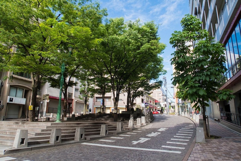 「家賃がクソ高いだけあって住みやすい」永住したいと思う“東京メトロ南北線沿いの街”第1位に「住めるなら一生東京住む」「高級スーパーに加えてダイエーもある」の声