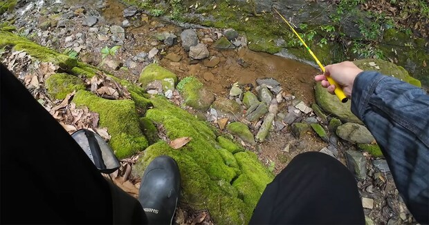 ミルワームを糸に結び、山の小川に垂らしたら……　“即大漁”の光景に「これはスゴイ」「最高！」