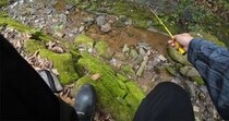 【画像】釣れた生き物を見る