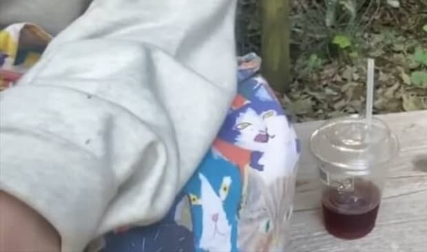 いつもの公園のベンチで一休みした女性→隣に来たのは……　「とんでもないことが」通行人も二度見の光景に「羨ましい」「コミュ力すご」