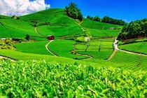 【難読地名】地元民しか読めないと思う「京都府の市区町村名」ランキングTOP25！　関西在住者に聞いた第1位は「和束町」【2026年最新調査結果】