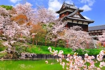 「また奈良行ったら絶対買う」　とろける“奈良銘菓”が大好評　「柔らかい、とける、飲める！」「めちゃくちゃ美味しい」「手土産なら間違いない」