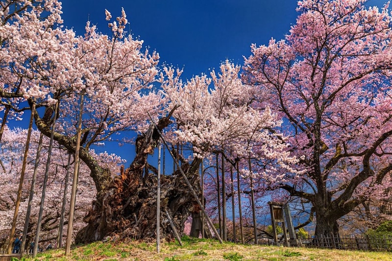 【関西地方在住者が選ぶ】地元民しか読めないと思う「山梨県の市町村名」ランキング! 2位は「忍野村」、1位は?