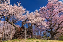 【関西地方在住者が選ぶ】地元民しか読めないと思う「山梨県の市町村名」ランキング！　2位は「忍野村」、1位は？
