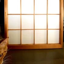 【画像】記事を読む