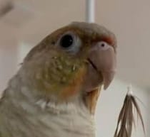 【画像】平和な日のふたり