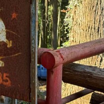山に登り、神社で目にした光景は……　「これはすごい」“まさかの看板”が50万表示「あーーー」「生きとったんかワレェ」
