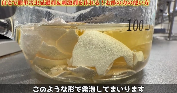 お酢に“卵の殻”を入れて、野菜にかけたら……　「これは是非とも試してみて」目からウロコなアイデアに「手軽で良いですね」